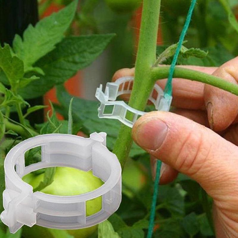 100Pcs Plastic Plant Clip Plant Support Garden Greenhouse Vegetables Clip Garden