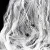 Haunted House Halloween Spider Web and Silk Decorations with Spiders