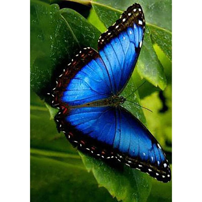 DIY Butterfly 5D Diamond Painting Full Round Drill Cross Ctitch Kits Animal Diamond Embroidery Mosaic Gift Wall Art Home Decor