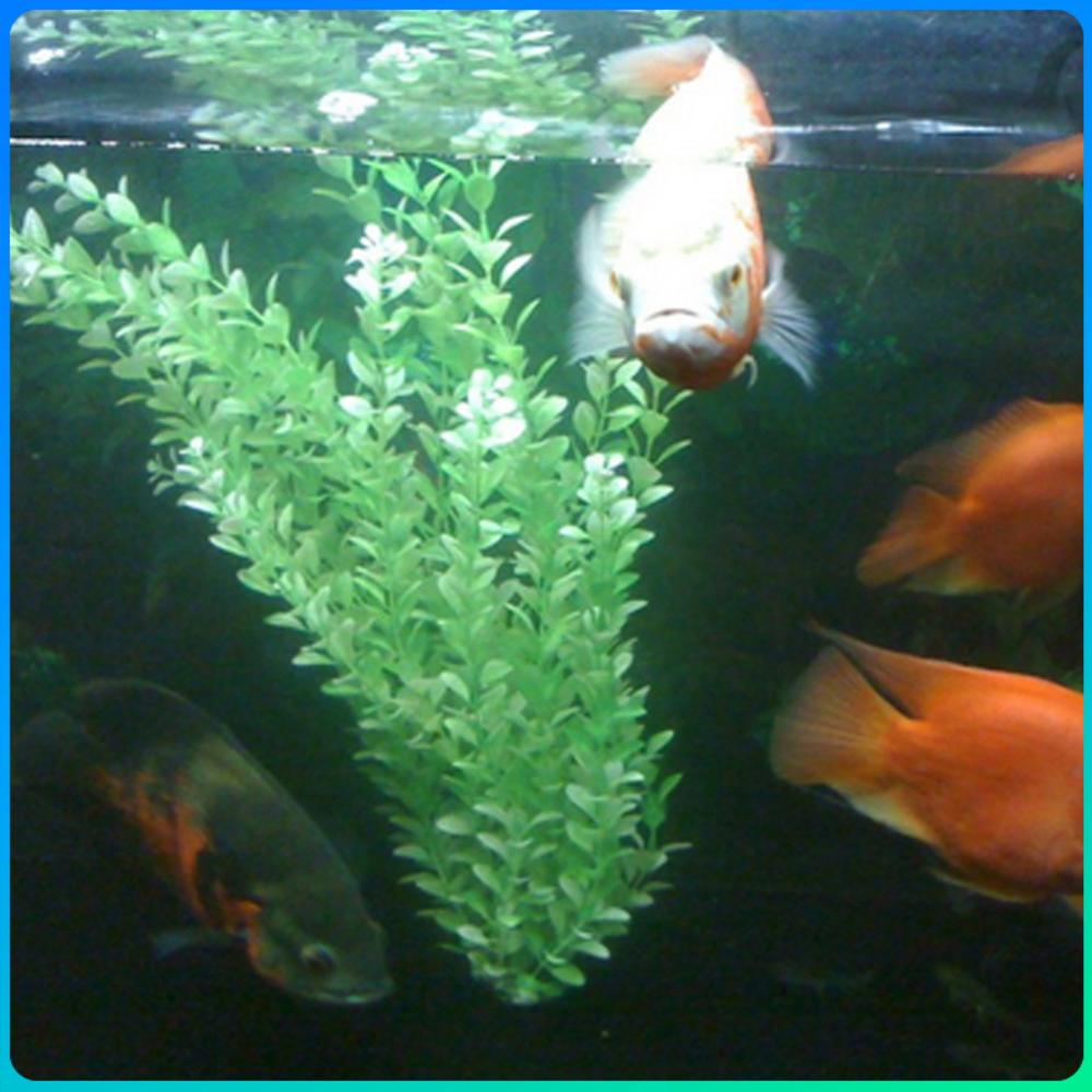 

Artificial Plant Decoration Non-toxic Grass Decor Ornament Beautiful Aquatic Plants Landscaping Aquarium Accessories China Mainland