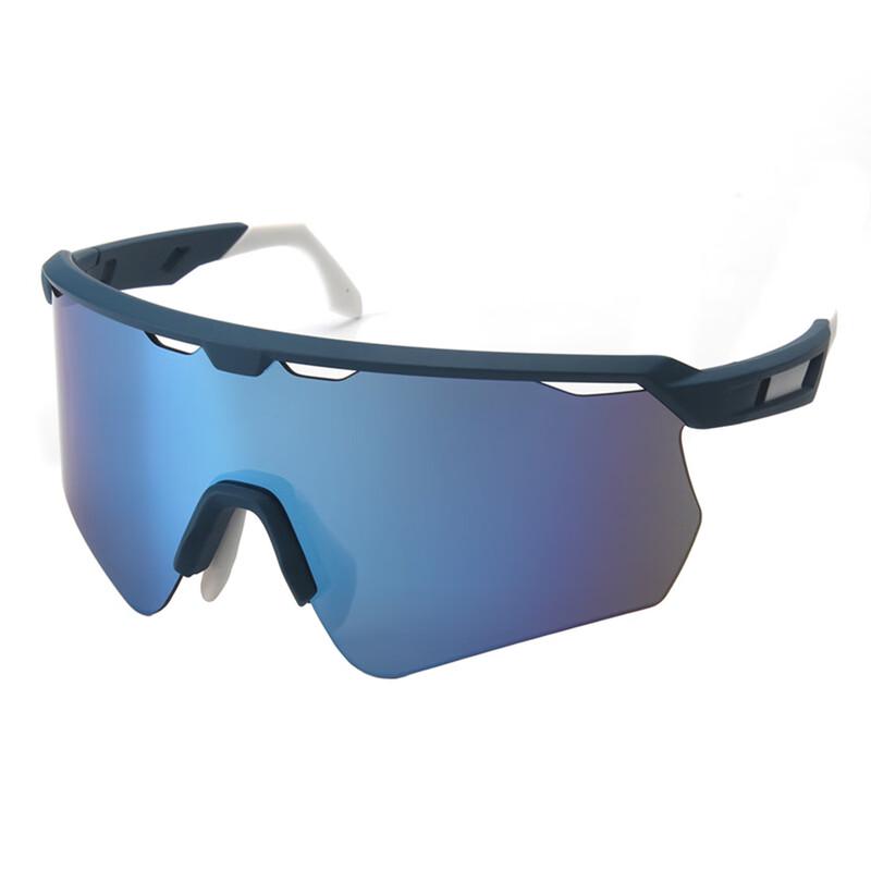 

Lishi Professional Mountain Goggles
