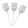3pcs Self Watering Bulbs Space Saving Watering Globes Irrigation Transparent