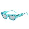 Special for computer glasses trendy street photography anti-blue light ink color avant-garde cat eye sunglasses female UV