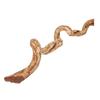 BioCurly Curly Liana for Terrarium 50cm
