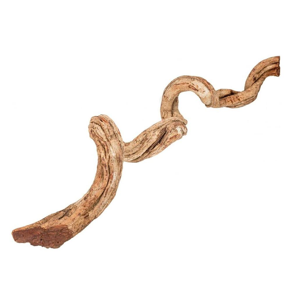 BioCurly Curly Liana for Terrarium 50cm