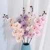 Phalaenopsis Simulation Multicolour Flower Bouquet  For Home And Decor Event