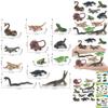 Lifelike Pvc Forest Animal Model Collection Including Realistic Frogs Turtles And Chameleons