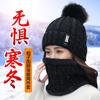 New Plush Warm Wool Hat Winter Hat Versatile Cold Hat Fashion Personality Cold Thickened Knitted Hats