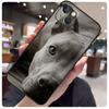 Pit Bull Chien Mignon Pitbull Étui Pour iPhone 14 Pro Max 16 15 11 12 13 17 Pro Max mini 15 16 Plus 16e 17 Air Housse de Téléphone