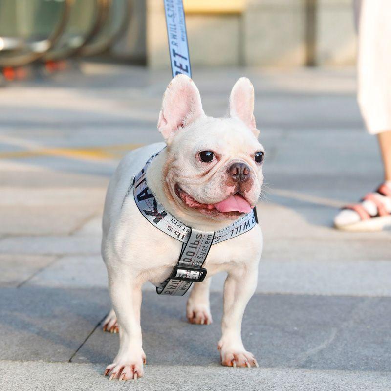 

Dog Hand Holding Rope Vest-Style Dog Rope Dog Chain Dog Walking Chest Strap Medium Large Dog Jarre Aero Bull Corgi Pet Supplies Single traction rope (1.5 m) Light gray