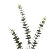 Eucalyptus Stems Decor Artificial Eucalyptus Leaves 3 Branches Real Touch Faux Greenery Plant for