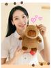 Big Belly Series Plush Toy: Koala, Capybara, Elephant, Dinosaur, Rabbit, Donkey