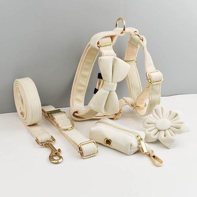 Ensemble de collier et de laisse en velours blanc laiteux pour chiens Plaque nominative gravée sur mesure Fournitures pour animaux de compagnie Laisse pour chien Velours 14