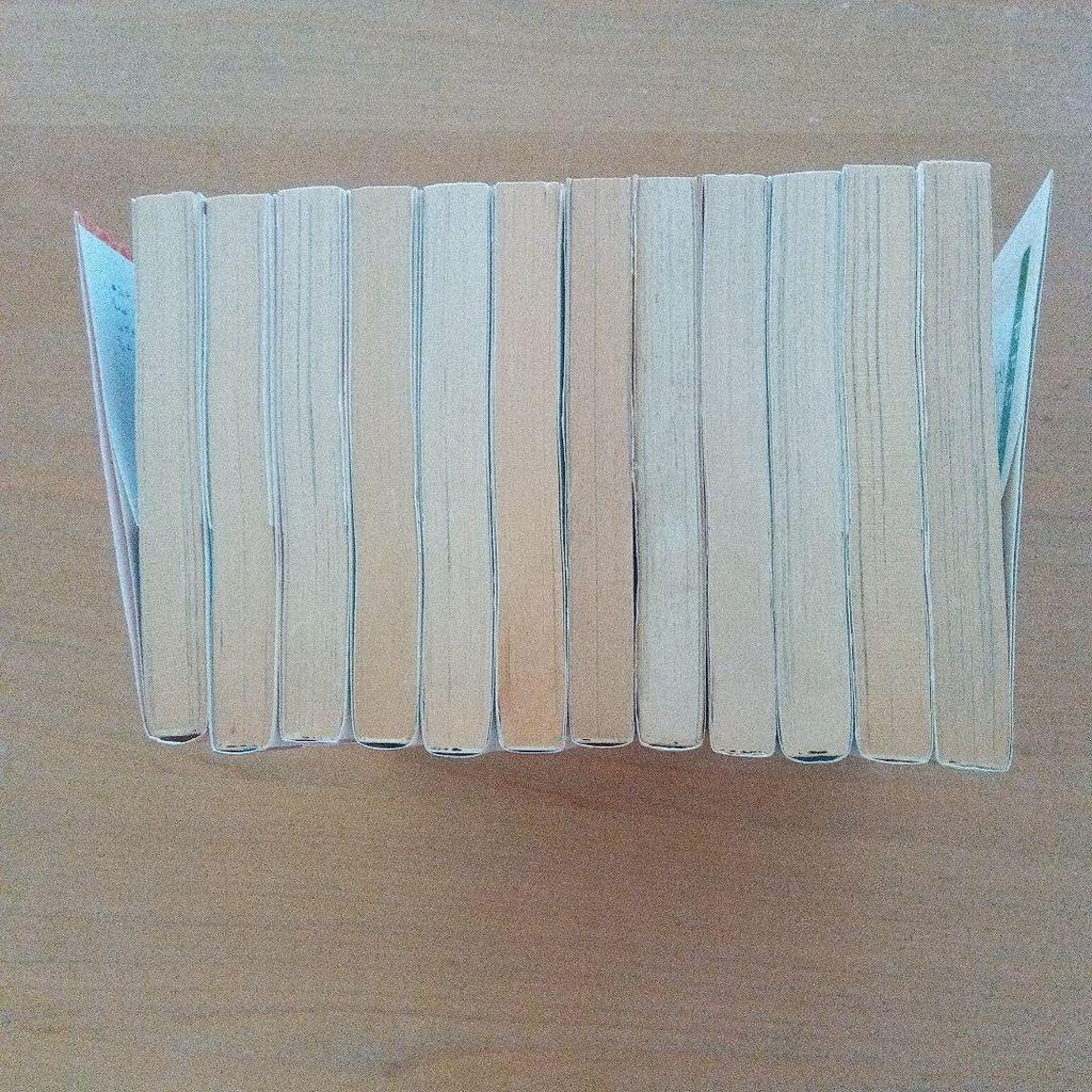 [USED] Naka Tomoko Complete 12-Volume Set of Girls' Manga