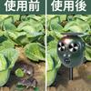 MEXITOP Ultrasonic Cat and Bird Repellent with LED and Powerful and Dog Ultrasonic Animal Repellent with Cat and Pest Bird and Dropping Rodent USB