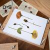 Presă Mare pentru Flori Presă Ajustabilă pentru Plante Instrument pentru Conservarea Florilor Instrument DIY pentru Presarea Florilor Uscate Cadou pentru Copii Iubitori de Natură
