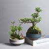 Woondecoratie – Bloempotten