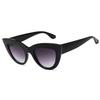 New Retro Cat Eye Trendy Sweet Cool Women's Sunglasses Ins Style Vacation Party Daily Fashion Glasses