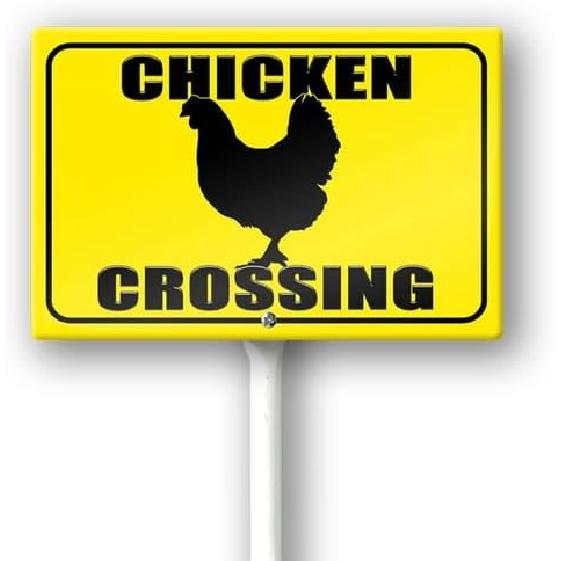 Boylee Squirrel Crossing Yard Sign with Stake 12x8inch Rustproof Aluminum Sign Outdoor Aluminum Sign for Lawn Yard Garden Decor, Easy To Install,