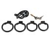 Generation Pig Chastity L