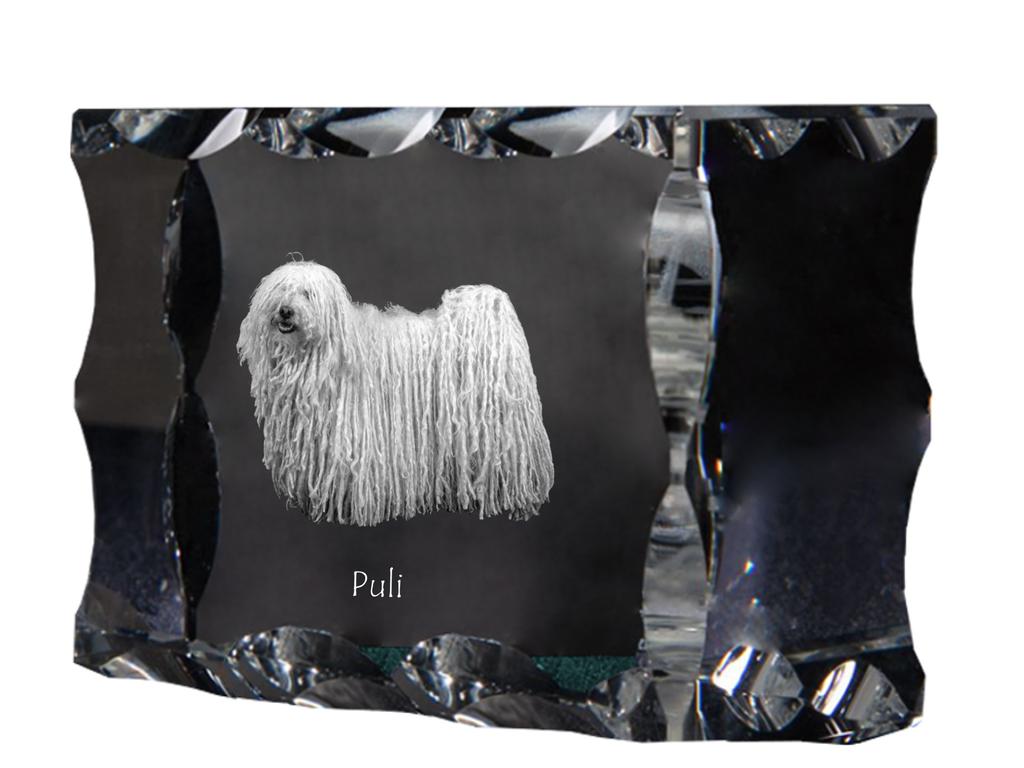 Puli, Hungarian Water Dog – Crystal with a picture of a dog, glass statuette with a picture | Art-Dog