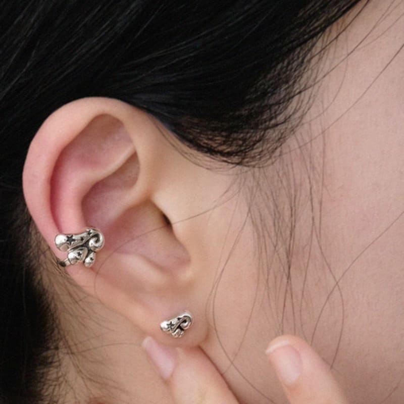 

reinheart Stellar Wing [Right] C. Basic silver finish + matte