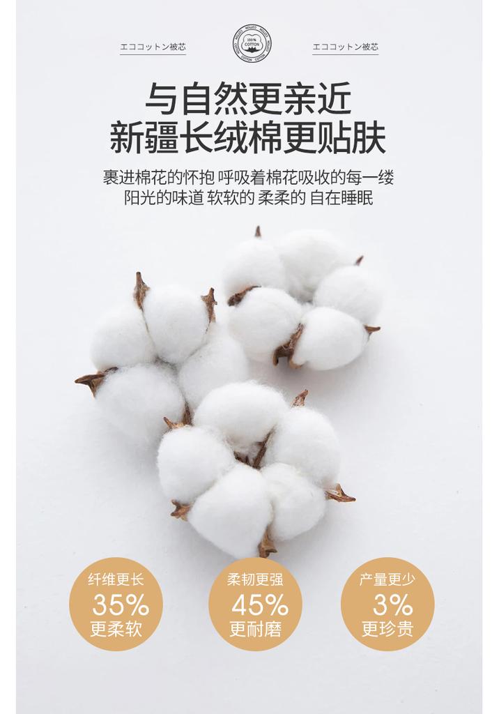 Miange 100% Xinjiang Cotton Quilt
