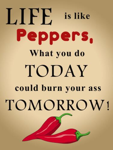 

life like pepper Vintage Retro Metal Tin Sign Poster Plaque Garage Wall Decor AAluminum 20x30cm（7.8x11.8inch）