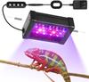 Reptile – Terarii pentru reptile