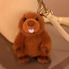 Cute Groundhog Back Turtle Bag Plush Toy Bag Pendant Keychain Doll Children Comfort Doll