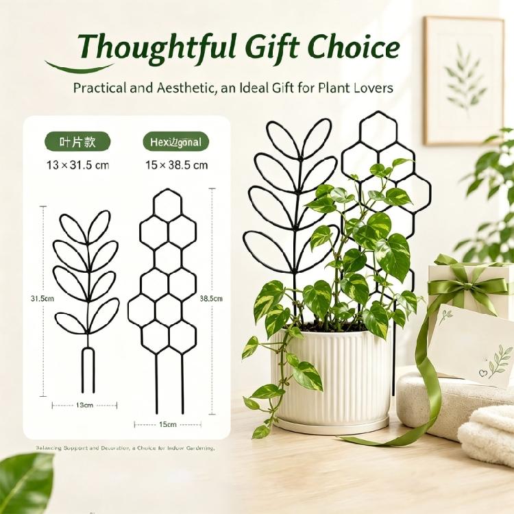 Adjustable PP Plant Support Structure For Flower Pots Climbing Roses Healthy Growth Of Ivies And Other Vine 5 Pack