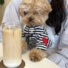 Striped Puppy Shirt Dog Summer Vest Cute Thin Hoodies for Dogs Chihuahua Bichon Witer Dog Undershirt Cat Clothing Pet Sweatshirt