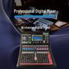 Runpu RP-STY16EX 16-Channel Professional Digital Audio Mixer (CN version)