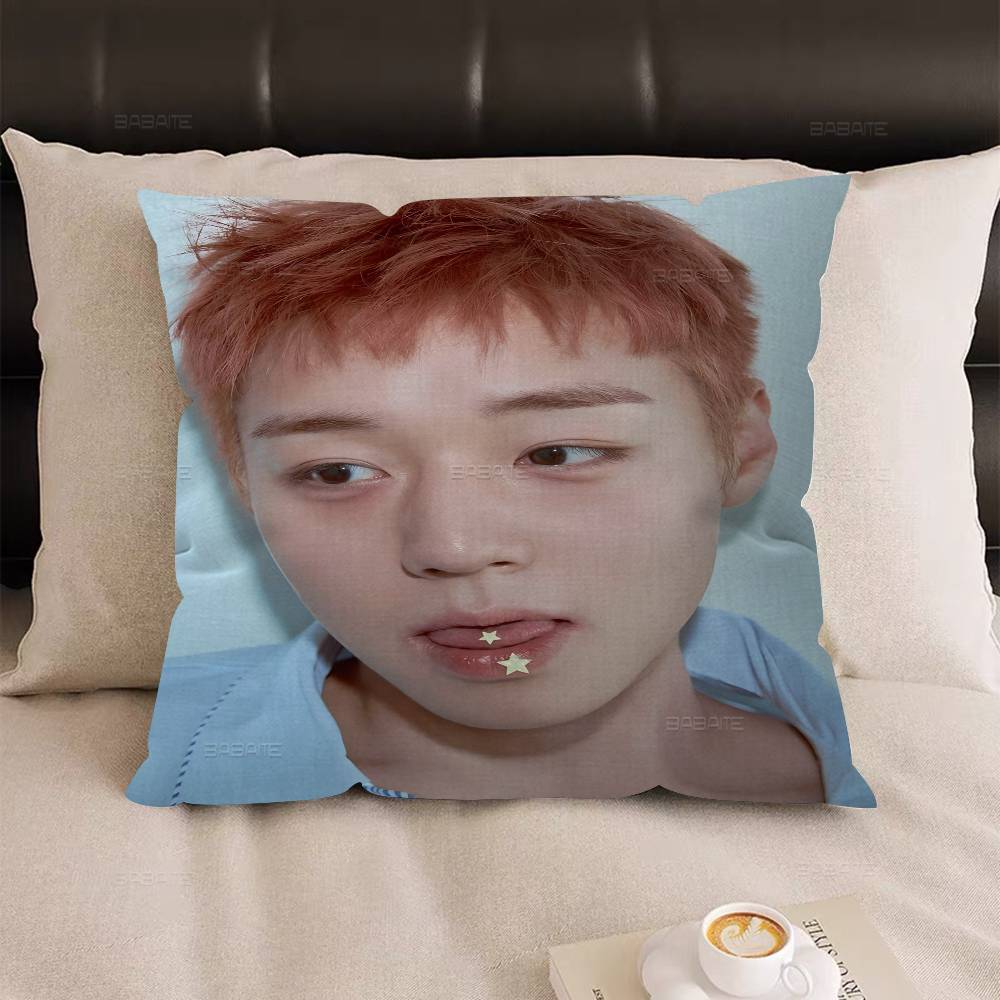 Korean P-PARK JI HOON Anime Pillow Cushion Cover Pillowcase Living Room Sofa Home Decor Customized