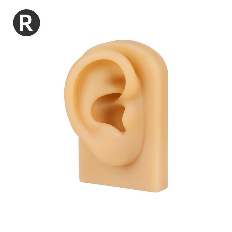 Silicone Ear Model for Light/Dark Skin Tones - Soft Ear Model for Ear Picking Practice
