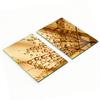 Glass Decorative Snack Serving Boards Dandelions 2x40x52 Cm