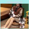 Rose Husky Creative Plush Toys Cute Valentine Days Girls Boys Holiday Gifts
