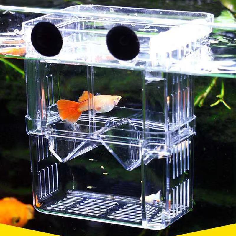 Multifunctional Fish Aquarium High Clear Fish Breeding Isolation Box Aquarium Breeder FishTank Double Guppies Hatching Incubator