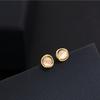 Fashion Earrings Female Mobius Light Luxury Temperament Light Luxury Ear Jewelry