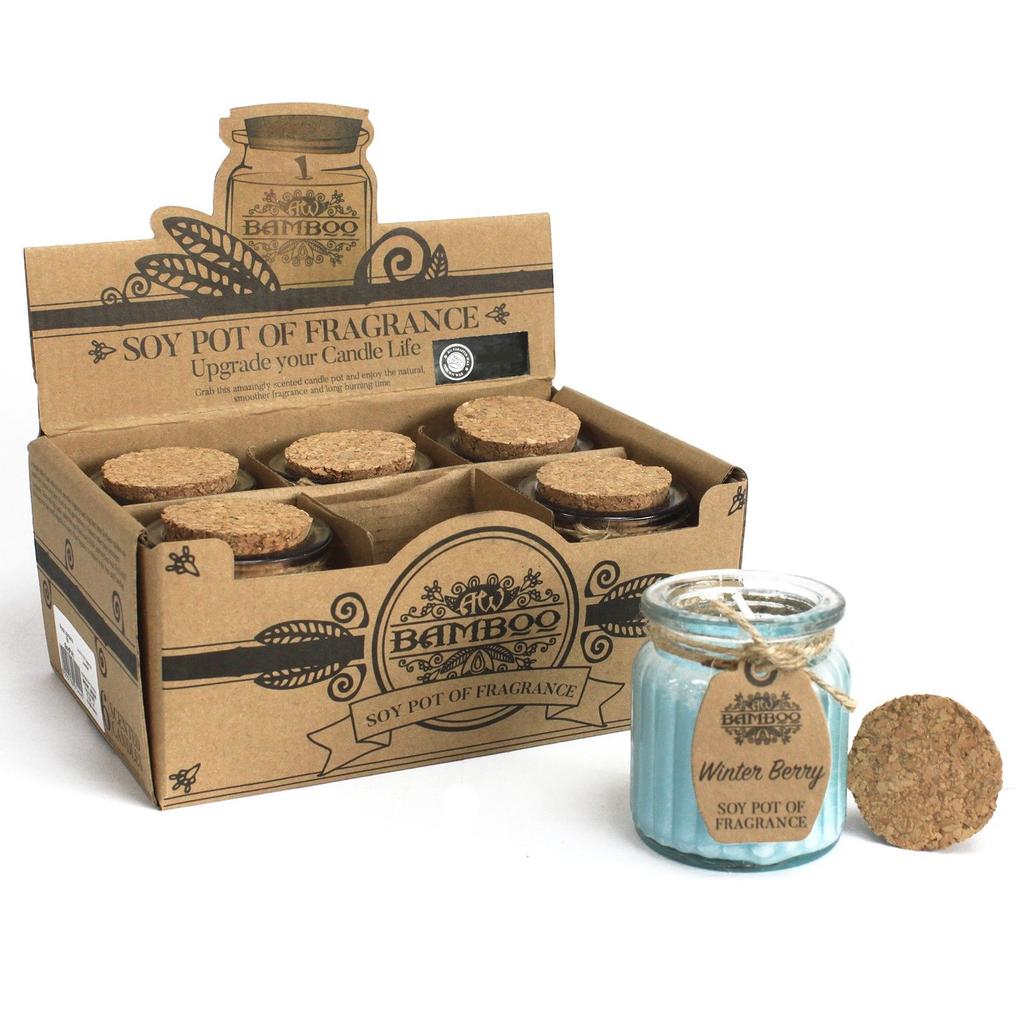 Scented Soy Jar Candles Winter Berry, 2 Pack