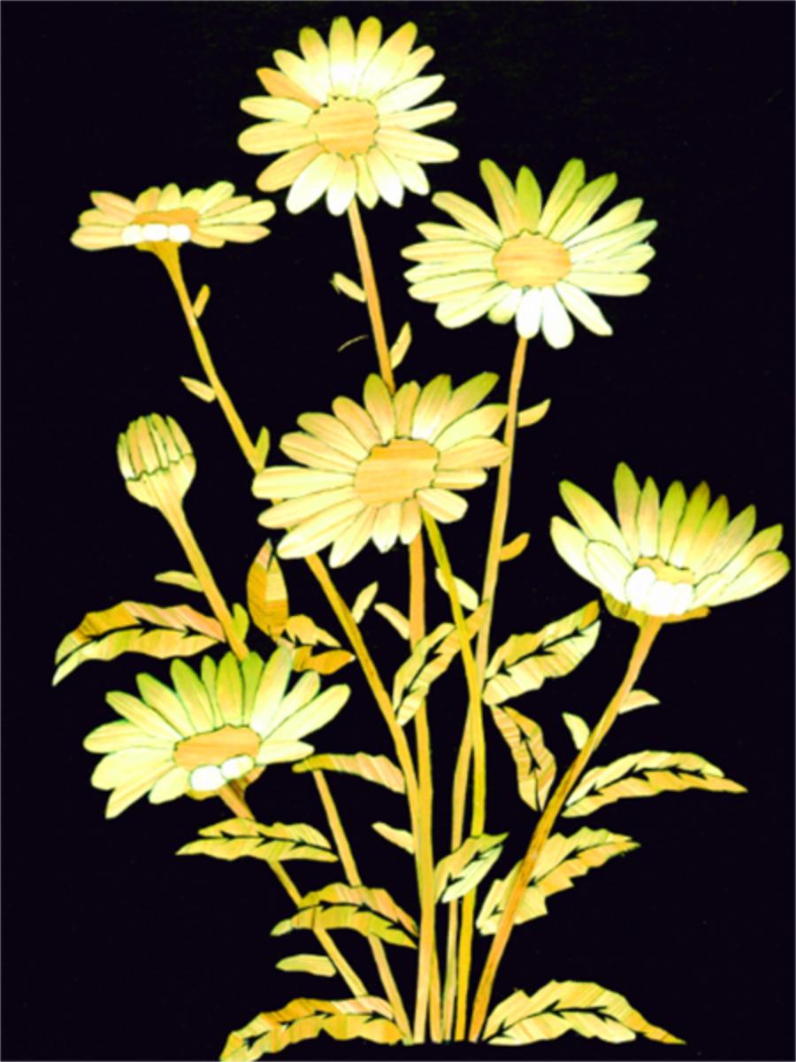 

5D круглая алмазная живопись «сделай сам», вышивка крестиком, ремесленная мозаика, алмазная вышивка, пейзаж, животные, мозаика, картина, украшение дома, картина Full Round 20x30CM