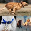 Dog Collar Safety Clip Metal Clasp Double Ended Connector 2 Pack Prong Chew Proof Backup Dog Clip for Pet Harness Collar Leash Necklaces Dog Strap