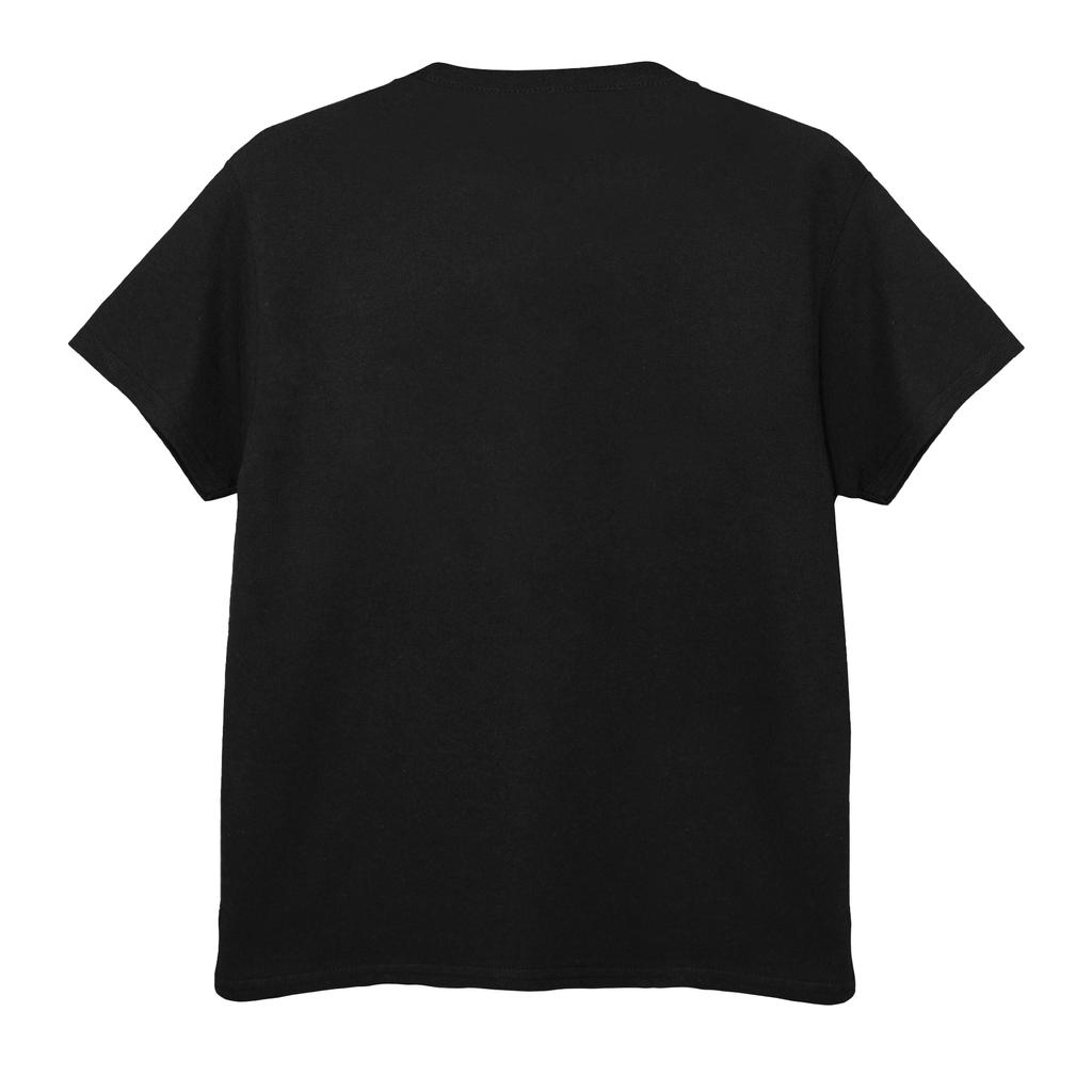 HARRY POTTER Boys Emblems H Spray T-Shirt