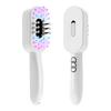 Red Blue Light Electric Scalp Massage Comb EMS Vibration Therapy Hair Growth Anti Hair Loss Care Brush Oil Applicator