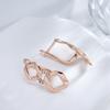 Simple Geometry Design Drop Earrings For Women  Rose Gold Color Natural Zircon Accessories Fashion Daily Fine Jewelry