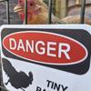 Chicken Hazard Sign 3D Printed Chick Danger Sign Indoor Outdoor Home Farm Garden Decorative Tiny Raptors Warning Sign