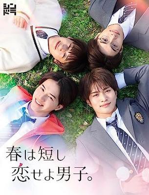 [USED] Spring Is Short, Fall In Love, Boys! (Blu-ray BOX) (No Bonus Features)