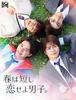 [USED] Spring Is Short, Fall In Love, Boys! (Blu-ray BOX) (No Bonus Features)