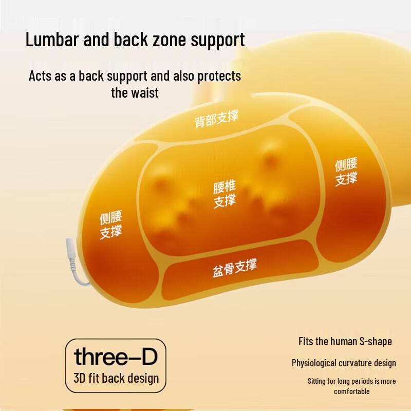 PGG Multi-functional Heating Massage Cushion