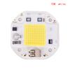 100W 70W 50W 220V Cob Led Chip For Spotlight Floodlight Led Light Beads Aluminum